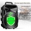 Soaiy Portable Outdoor Bluetooth Karaoke Trolley Speaker CN plug (adapter included) (CN version)
