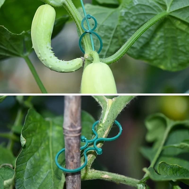 5-50PCS Plant Clips for Climbing Plants, Horticultural Clips for Tomato Plants, Vegetable Clips for Supporting and Fixing Plants