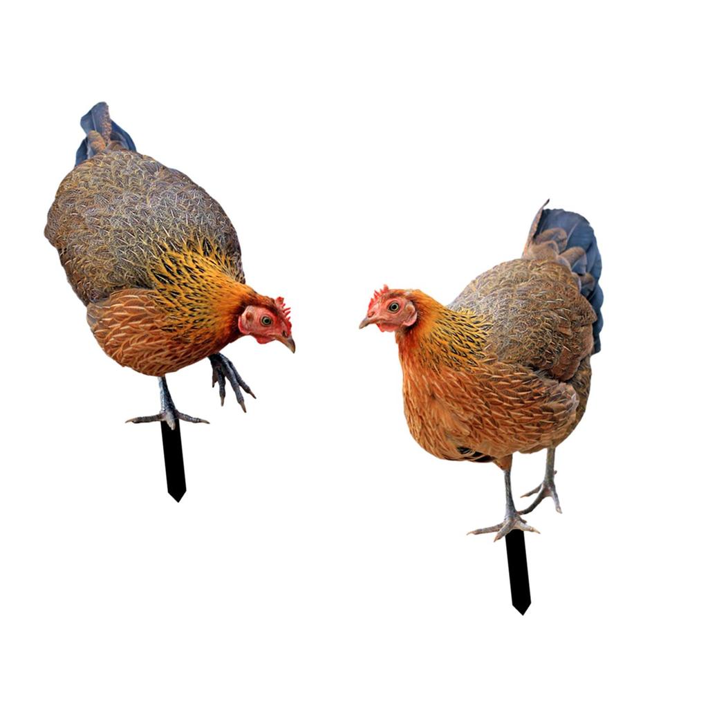 Rooster Yard Stake Hen Realistic Chicken Sculpture for Farm Pathway Patio