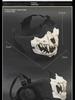 Fang Skull Mask with Ear Protection for Halloween and Outdoor Cycling