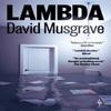 Lambda by David Musgrave Paperback Book 9781787704657