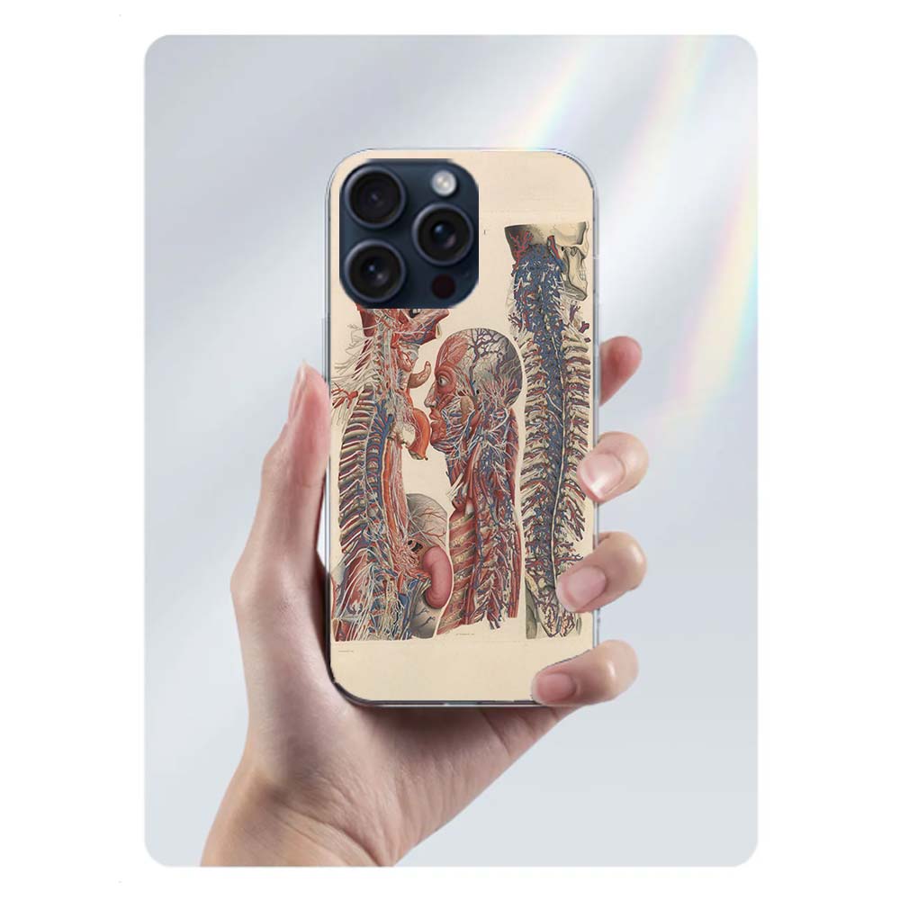 Medizinische menschliche Organe Gehirn Capa Handyhülle Für Iphone 17 Air 16 Pro Max 15 12 Pro 14 Plus 17E 16E 11 13 Mini Hüllen Fundas