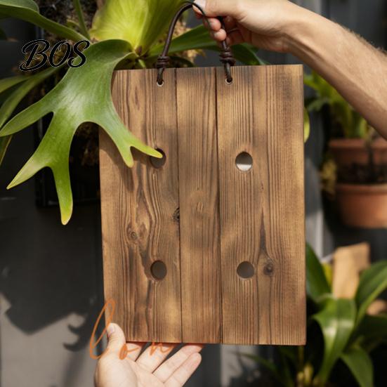 Easy Hang Plant Mount Staghorn Fern Mounting Kit Wooden Board Hanger Rustic Wall Decorative Planter for Ferns Orchids Air Plants Indoor Outdoor Decor