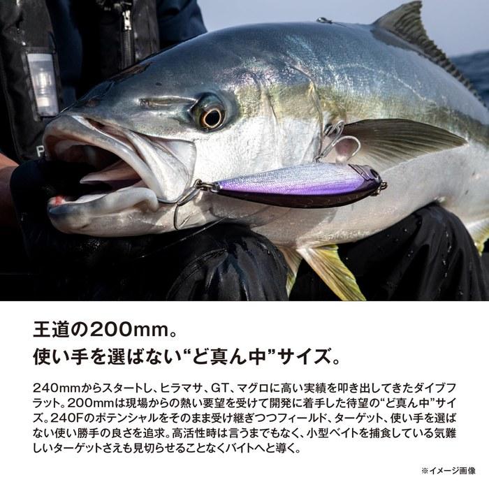 SHIMANO Ocea Dive Flat 200F Flash Boost OT-Z20Y 007 T Iwashiminto