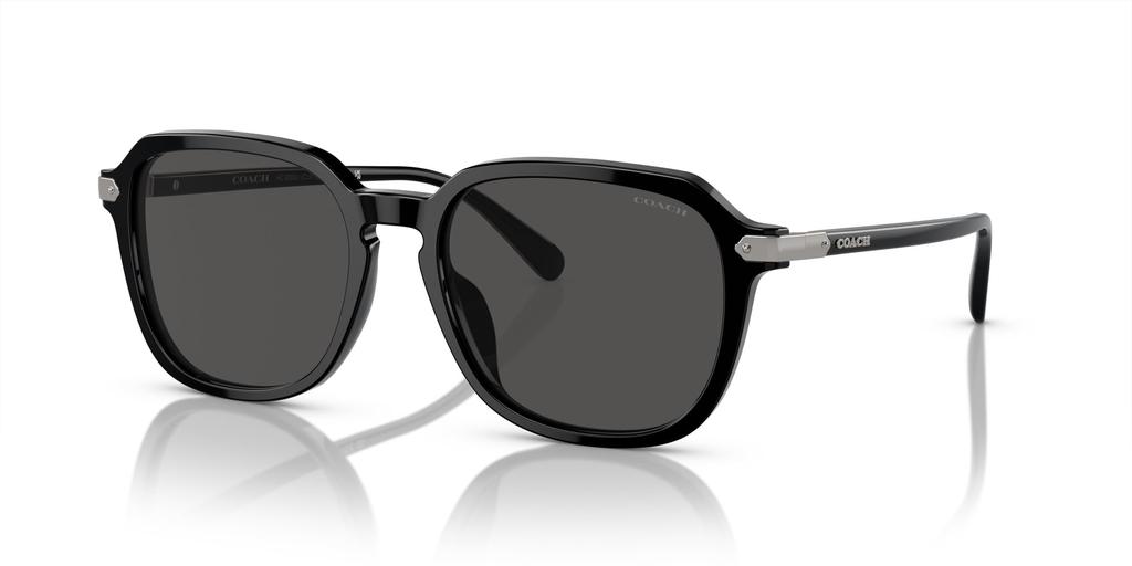 Sunglasses HC8383U CL912 BLACK 55 [Coach]