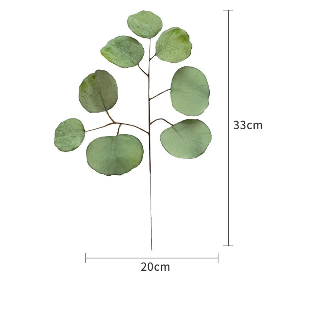 Simulation  Eucalyptus Colored Leaves Photo Shoot Photography Background Props Tabletop Home Decor