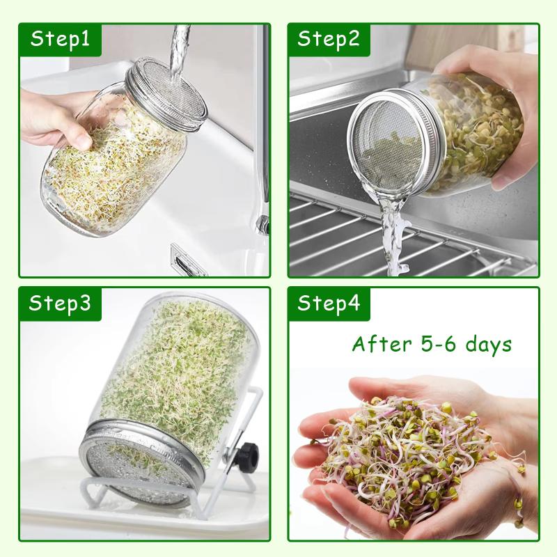Seed Sprouting Jar Kit Wide Mouth Durable Glass Sprout Grower with Stainless Steel Screen for Easy Filling and Rinsing at Home