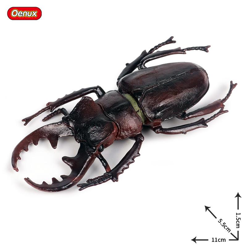 Oenux Wild Insect Animals Model Mantis Grasshopper Butterfly Bee Beetle Action Figures PVC Science Education Collection Kid Toy