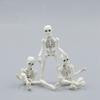 Skull Toy Pose Skeleton Human Body Flexible Model Doll For Home Decor And Gifts