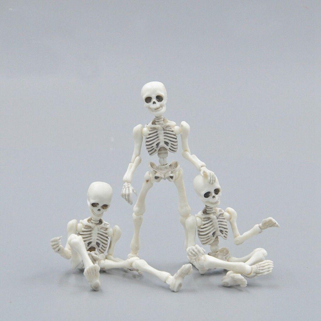 Skull Toy Pose Skeleton Human Body Flexible Model Doll For Home Decor And Gifts
