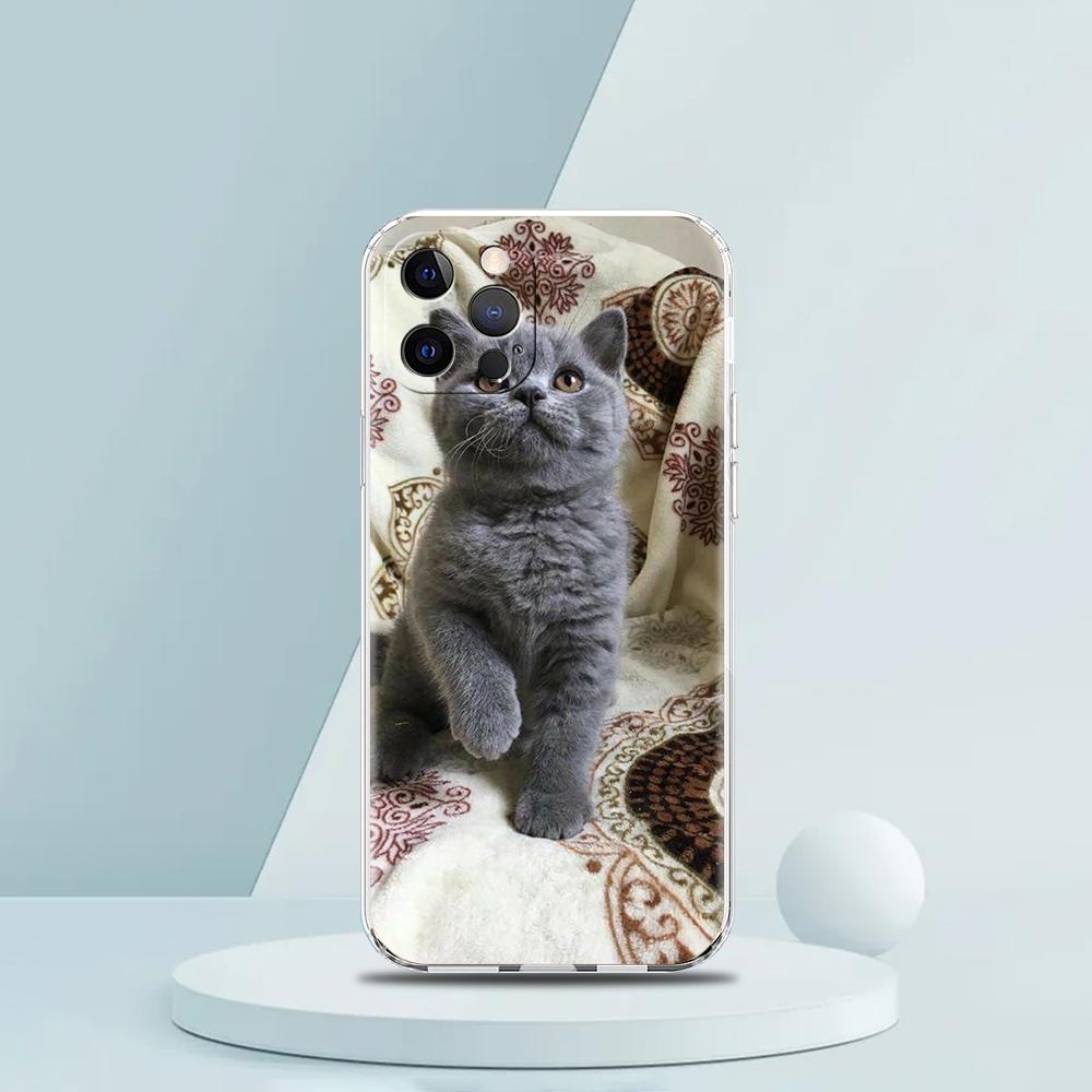 Cartoon Fun Cat Pet Dog Luxury Phone Case For iPhone 16 15 14 13 12 11 Pro Max XS X XR SE 7 8 Plus soft Silicone Clear Cover