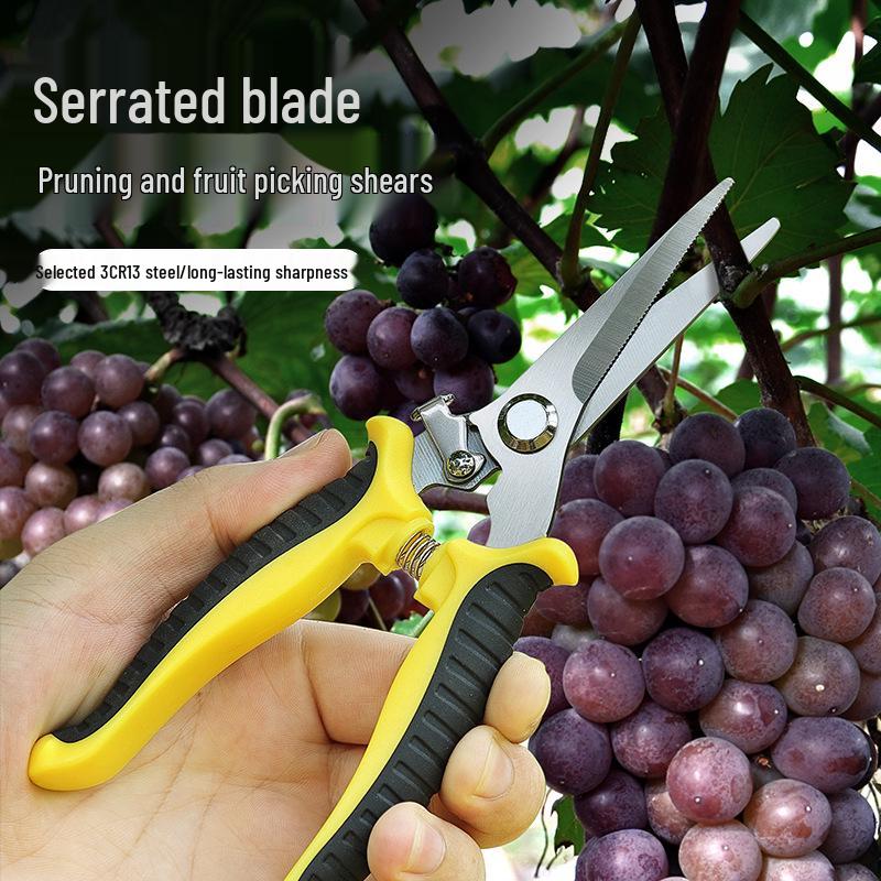 Stainless Steel Garden Pruning Shears: Grafting, Budding, Flower, Branch, and Grape Picking Scissors