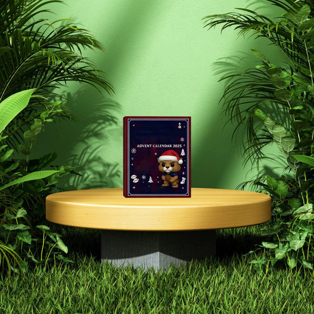 2D Ebene+Flugzeug Box +24 Stück+ Fitness Dekoration Advents-Weihnachts-Countdown-Box Kalender