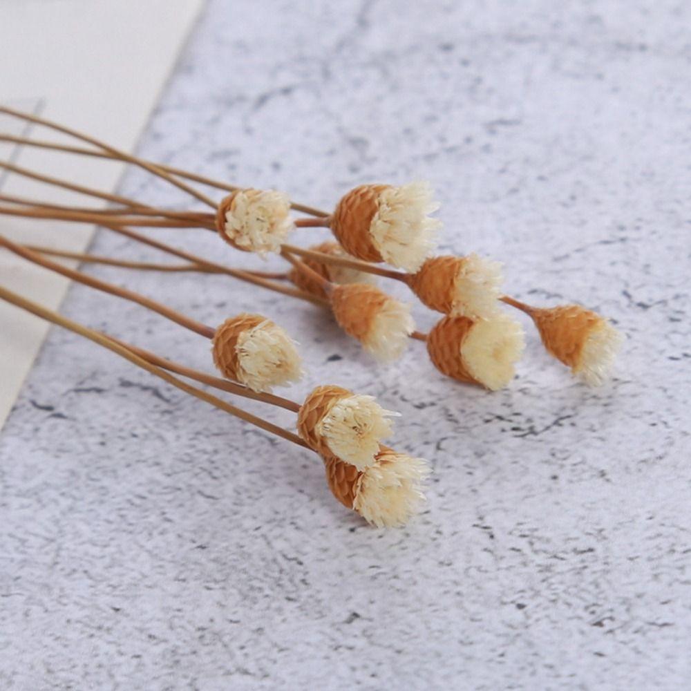 Handmade Fragrance For Aromatherapy Living Room Fireless Aroma Diffuser Sticks Aromatic Incense Artificial Flower Dried Flowers