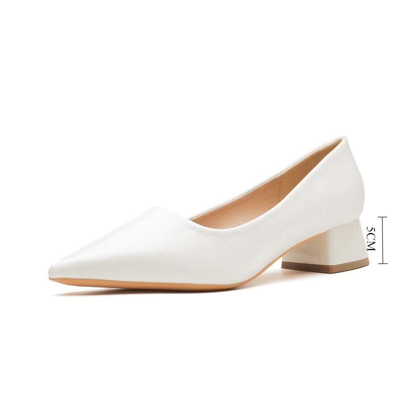 High Heels Women Spring Summer Thick Heel Pointed Professional Mid Heel Pumps New Shallow Commuter Work Shoes Comfortable
