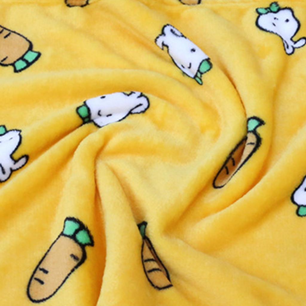 Pet Blanket Thick Soft Warm Double Sided Flannel Coral Fleece Cat Dog Sleep Blanket for Small