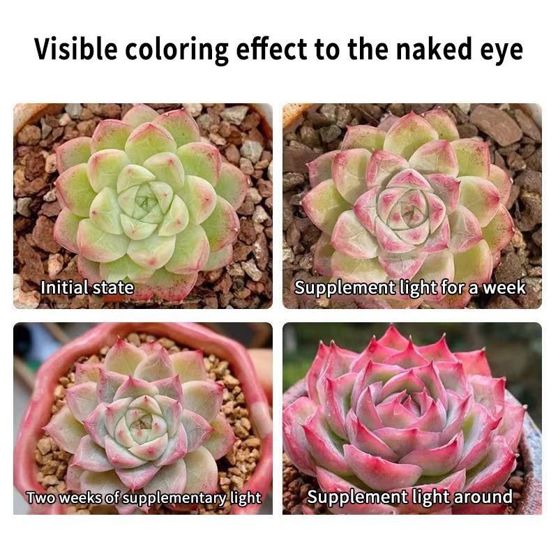 USB LED Plant Lamp Full Spectrum 3 Timer Setting 24W for Home Office Indoor Garden Desk Flowering Plants