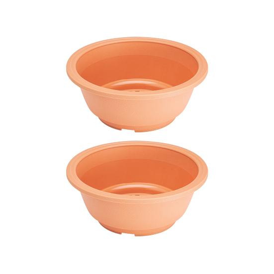 2Pcs Succulent Pot Shatterproof Breathable Plastic Hollowed Design Bonsai Pot for Home