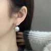 Light Luxury High-end Sense Size Pearl Earrings Women's Niche Design Ins Style Personalized Fashion Unique Earrings New Ears
