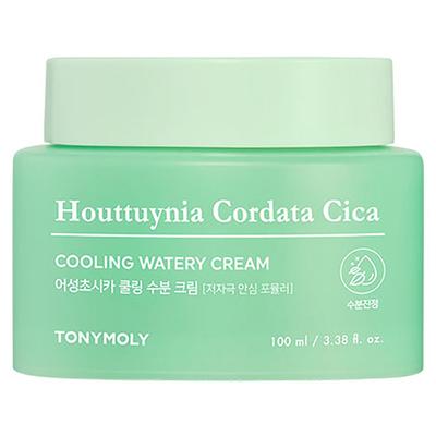 Tony Moly Eoseong Chocica Cooling Moisture Cream, 100ml, 1 Unit