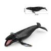 Humpback Marine Life Interior Item [Nekogami-yama] Whale, Figure, Model, Miniature, Ornament, Decor, Collector's