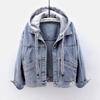 Spring Plus Size Blue Deconstructable Hooded Turn Down Collar Jean Coat Jacket Women Loose Outwear