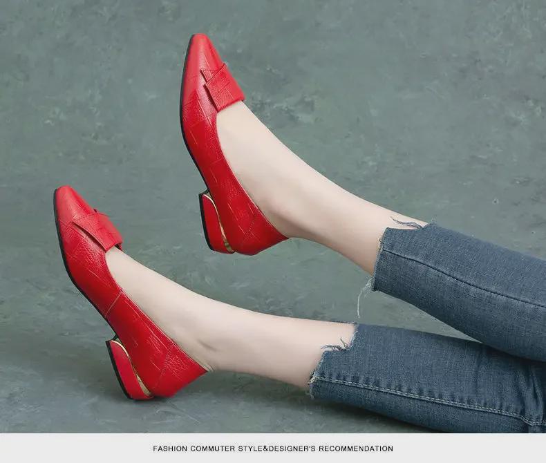 Women's Soft Leather Pointed-Toe Flats with Thick Heel, Versatile for Spring & Autumn