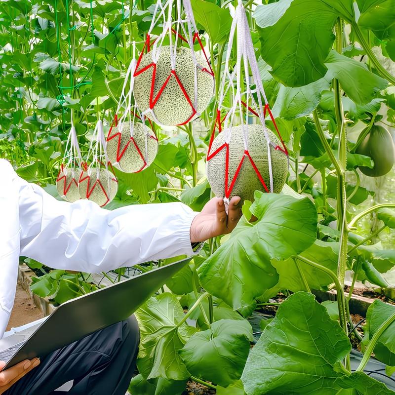 5/10/20Pcs Heavy-Duty Fruits Net Bags Large Capacity Shopping Bags For Support The Growth Of Watermelons, Pumpkins, Cantaloupes