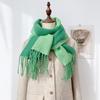 Double-Sided Solid Color Imitation Cashmere Scarf with Tassels – Cozy Korean Autumn/Winter Fashion for Students