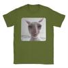 Funny James Cat Meme Pure Cotton T-Shirt For Man Summer Cute  Classic T Shirts Round Neck Harajuku Tee Shirt Oversized Loose