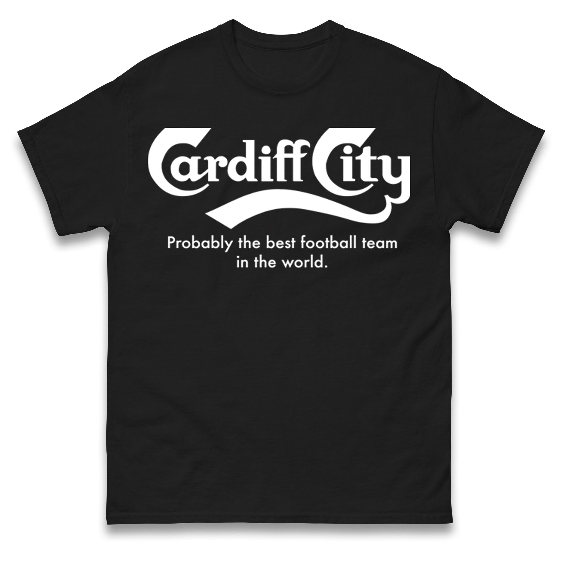 Cardiff City Probably The Best Team In The World T Shirt Tshirt Mens Womens Unisex Tops Tees M