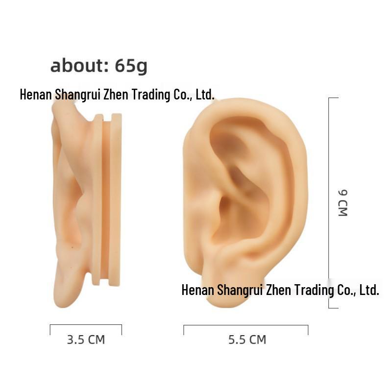 5D Ear Picking Silicone Model: Earphone Display, Acupoint, Jewelry & Hearing Aid Prop