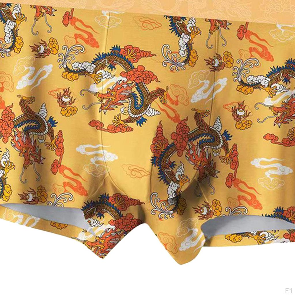Dragon Printed Trunks Briefs Mens Underwear Beachwear Nightwear 2XL Shorts