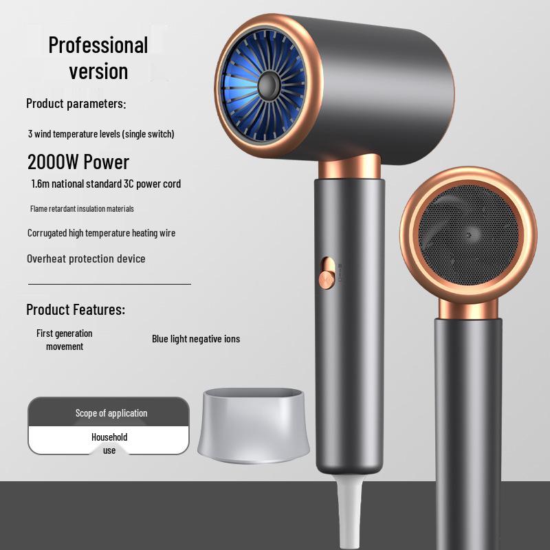 

Braidan High Power Negative Ion Hair Dryer for Salon & Home Use
