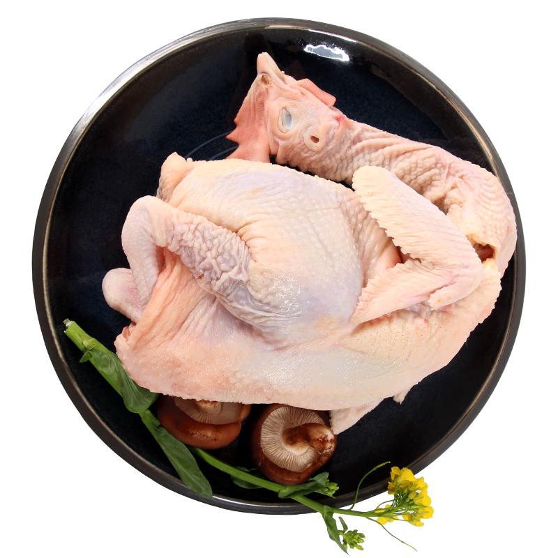 Tiannong Qingyuan Lingnan Frozen Free-Range Young Chicken