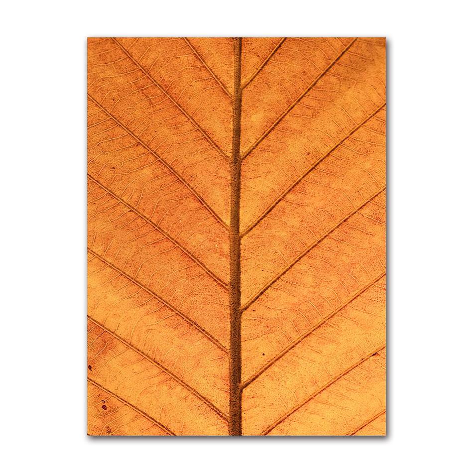 Waterfall Reed Wall Art Canvas Painting Nordic Posters And Prints Wall Pictures For Living Room Autumn Leaves Forest Deer Lake