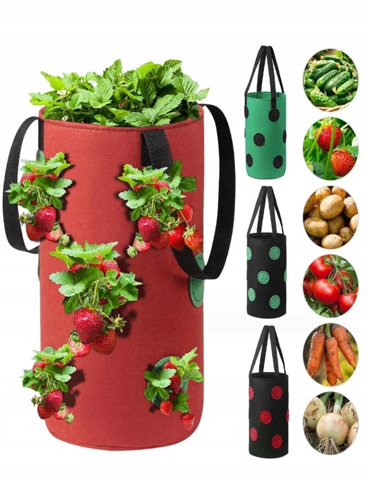 Hanging Pot Bag Chicken Tomatoes Strawberries Strawberries Pockets 35