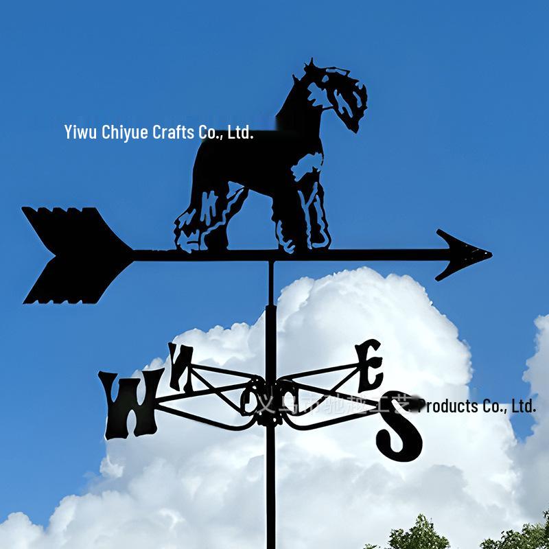 Weather Vane Ornament: Outdoor Wrought Iron Spray-Painted Roof Decoration Metal Craft