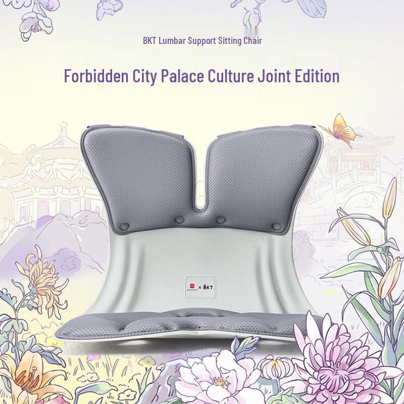 BKT Ergonomic Lumbar Support Seat Cushion