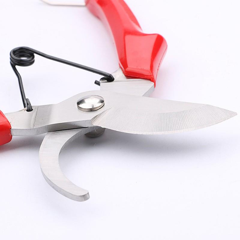 Pruning Shears for Garden and Bonsai - Artful Tree and Branch Trimming Scissors