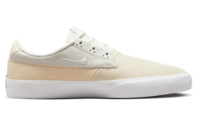 Nike Shane Premium Sb 'Summit White' DM0478-111