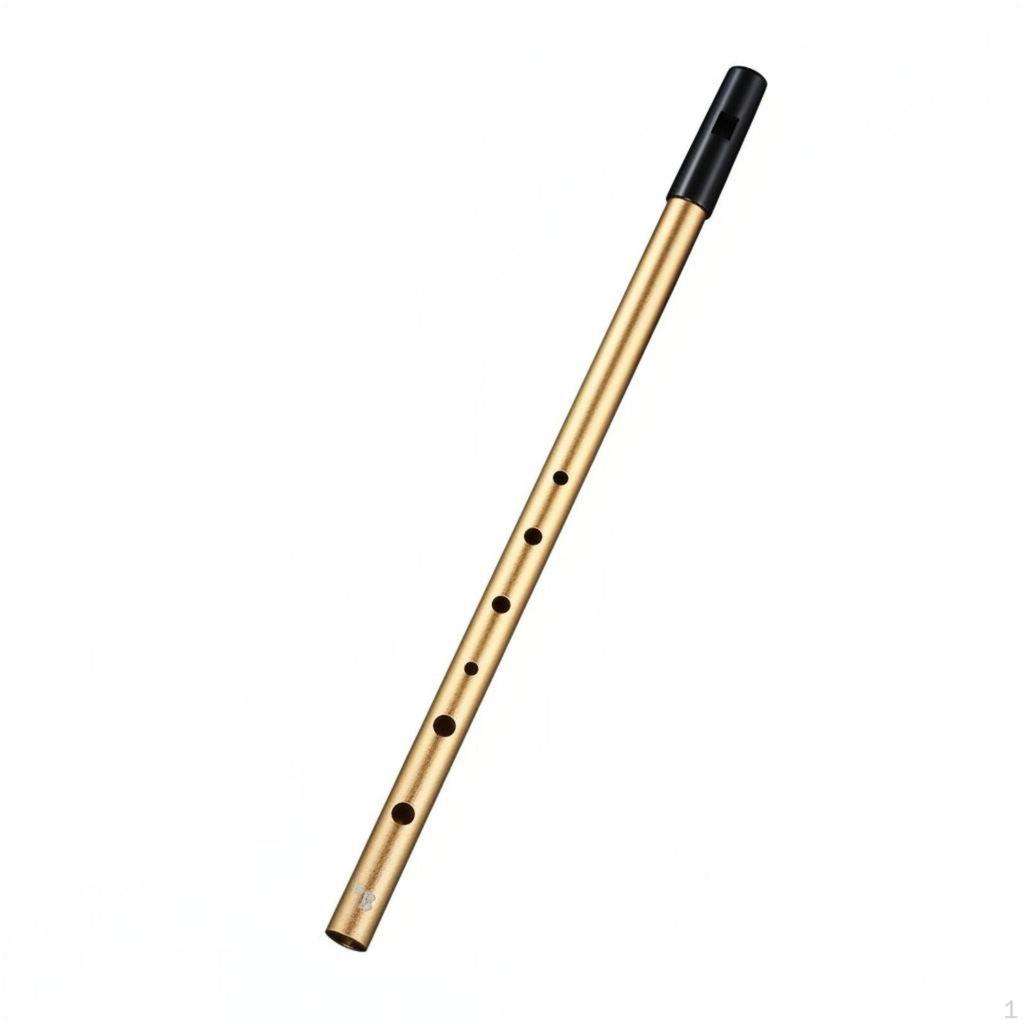 Traditional Whistle Beginner Friendly Tin Easy to Perform withHole Flute for Beginners,
