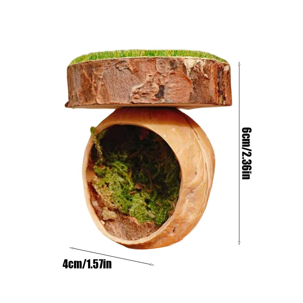 

Spider Hide Magnetic Jumping Spider Hiding Habitats Handmade Reptile Amphibian Accessories for Tarantula House Cage Small Pets