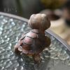 Schildkrötenstatue, Mini-Figur für den Garten, wasserdicht, UV-beständig, Mini-Größe, entzückende Tierstatue in Schildkrötenform, Hof-Ornament