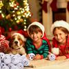 10pcs Party Favors Pack  Christmas Snowmen Balls Toys:Festive Ornaments, Festive Crafts,Holiday Shoppers, Family Celebrations