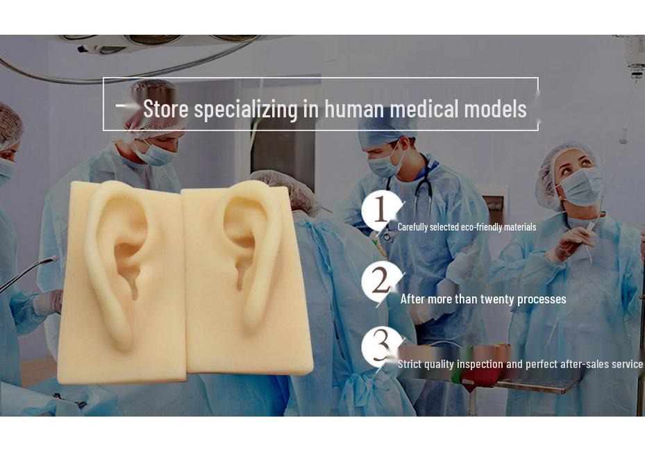 Realistisches Silikon-Ohr-Modell für Hörgeräte-Ausstellungszwecke
