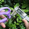 Professional Pruning Shears Stainless Steel Garden Scissors Heavy Duty Plant Trimmer for Flowers, Branches, Fruit Picking and Gardening
