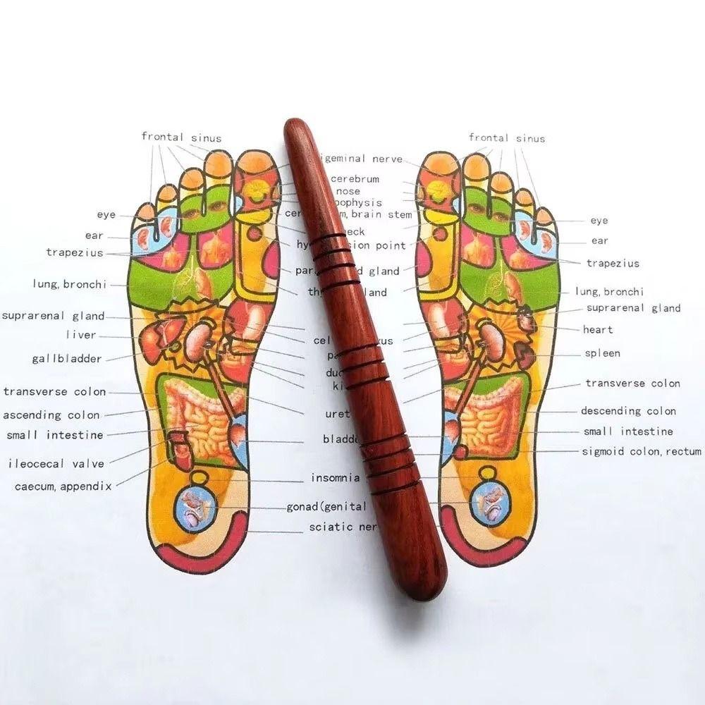 Wooden Body Massage Stick Round Head Foot Reflexology Massager  for Relieve Physical Fatigue