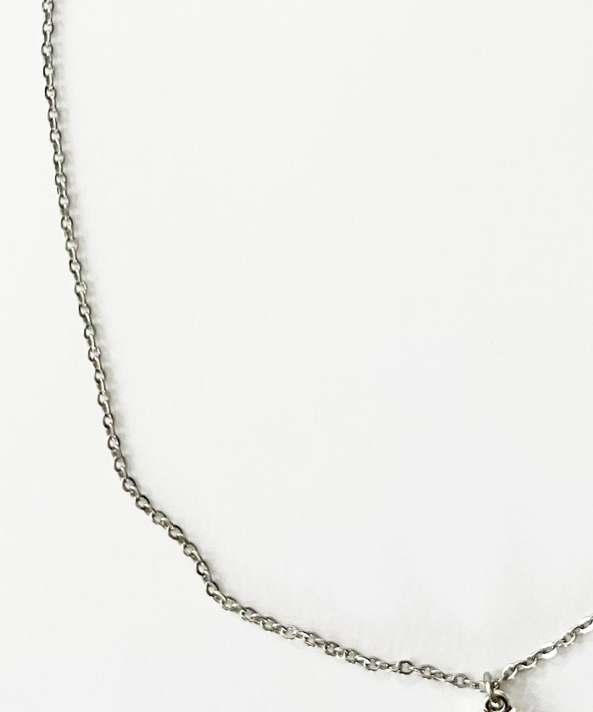 Sk8Er Rock Tooth Surgical Steel Necklace ((Steel))