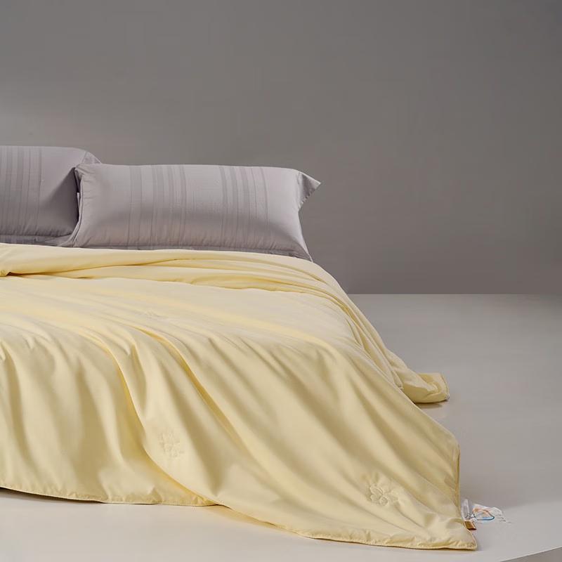 Mercury Home Textiles 100% Silk Washable Summer Quilt